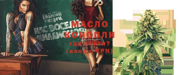индика Кинешма